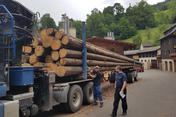 Vrachtwagen met boomstammen